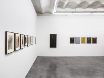 A familiar alienation in the work of Elizabeth Ibarra