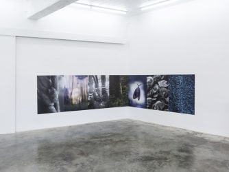 Niet louter fotografie | ‘No Road to Hotel Bellevue’