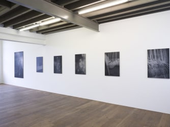 A darkroom filled with mysterious rolls of film