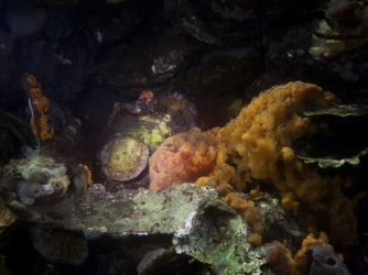 Fiscaal verstandig kunst schenken | Uitgelegd door KPMG Meijburg & Co