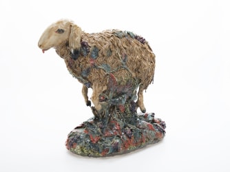 Carolein Smit | Ballroom Project