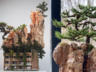 De schoonheid van het verval