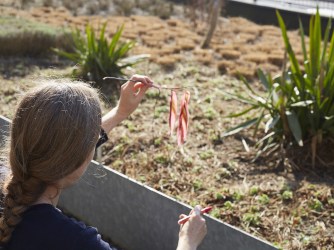 An interview with Elspeth Diederix