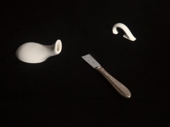 Preview Seizoen 2021: 8 shows over natuur & klimaat