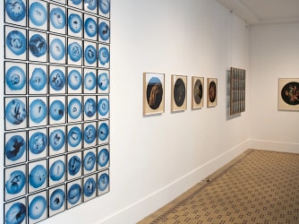 Joost Vandebrug: “As thin as a butterfly's wing”