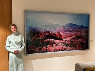 Ask an art collector... Emely Christiaens