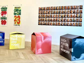 De Gallery Box van Coppejans Gallery