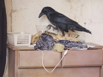 Vooruitblik naar Art Rotterdam | Meet The Artist... Minne Kersten