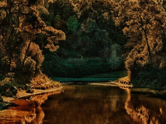 Albarrán Cabrera: “The most important thing is not to try to find a photo but to try to find a feeling."