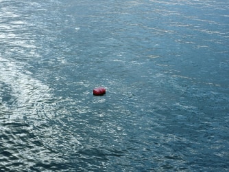 At a Moment’s Notice – new work by the Sanchez Brothers