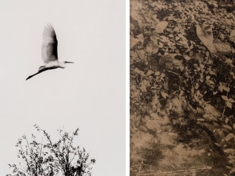 The materiality of the image in the work of Lucas Leffler and Hans Bol