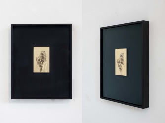 De bloemen van Iris Bergman