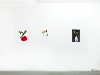 Stephen J Shanabrook in Frank Taal Galerie