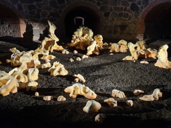 Through Bone and Marrow