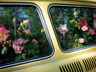 Cig Harvey: de magie van het alledaagse