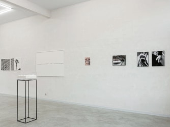 Tussen perceptie en realiteit, de artistieke visie(s) van Griet Dobbels en Evelien Gysen