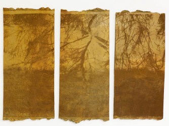 Tanja Engelberts: de Rhône als levend kunstwerk