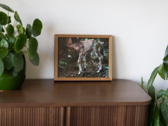 Tips from Het Grote Kunstkoopboek by Young Collectors Circle part 3