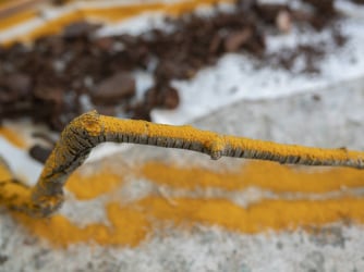 Een terugblik met... Monali Meher, winnaar van de NN Art Award 2023