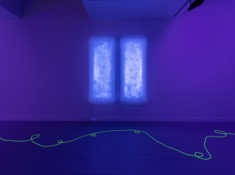 Last chance: light, language and code in the work of Brigitte Kowanz