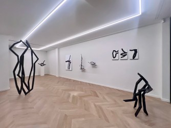 Robert Schad, drawing with steel