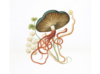 Wanderlust: Lindsey Carr in KochxBos Gallery