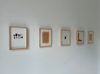 Tussen wortels en verbeelding, de vries’ oogst