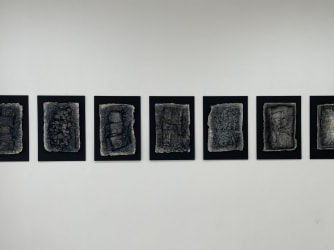 Laatste kans: de zwarte meditaties van Ado Hamelryck