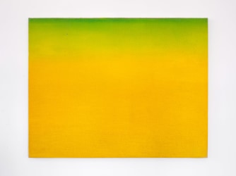 Jannie Regnerus: a cross-pollination of language and visual arts