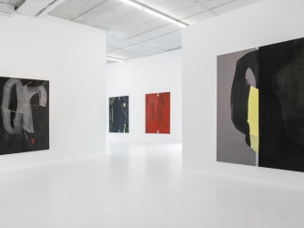 The slowly unfolding images of Stef Driesen