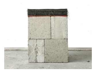 From petrified wings to soft weights, Leen Van Tichelen and the art of balance