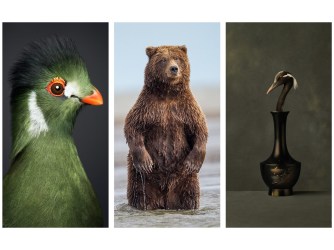 Mens en dier in SmithDavidson Gallery: een eeuwenoude dialoog