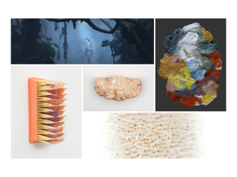 Art Rotterdam: 5 x rewilding the white cube