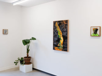 Lawrence James Bailey: tussen systeem en natuur