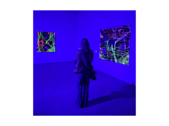 Christian Ouwens Gallery in fluorescent blue