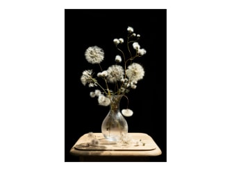 NEXT: Galerie Helder toont werk van 3 pas afgestudeerden