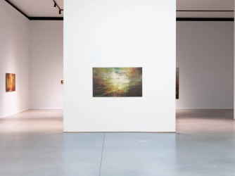 The disappearance of the birds: Elia Vanderheyden at Uitstalling Art Gallery