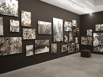 Oleum Shell isla de Curaçao: TINKEBELL. bij TORCH Gallery