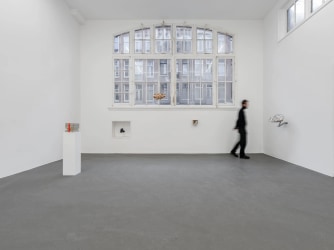 Fruiting Bodies and Other Things We Have in Common in Working Title Gallery