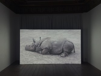 Marjan Laaper and the sculptural power of video