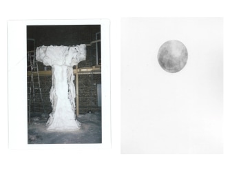 In the fold of reality: photographs by Jana Coorevits and sculptures by Krystel Geerts at Fred & Ferry