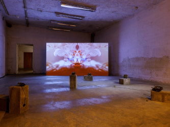 Preview Art Rotterdam | Sensorial poetry by Silvia Gatti