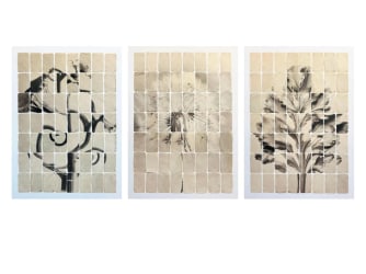 Textuur in fotografie: de technieken van Joost Vandebrug