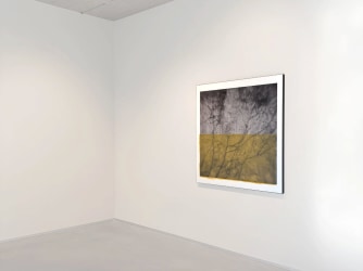 Devenir by Jean Godecharle at Hilde Vandaele Gallery
