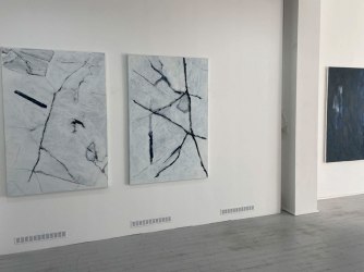 Quand le fleuve devient arbre: George De Decker bij Gallery Sofie Van den Bussche
