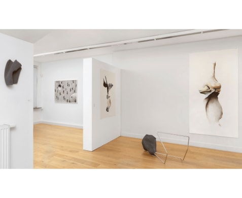 Sophie Järvinen Postma: an invitation to feel