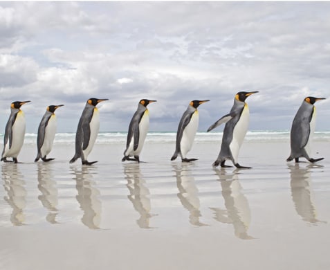 Ingo Arndt: de waardigheid van gelijke aandacht