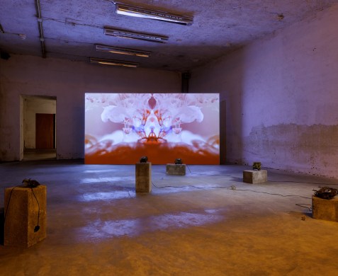 Preview Art Rotterdam | Sensorial poetry by Silvia Gatti