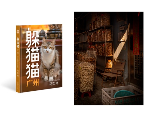 Book Launch of Hide & Seek: China’s City Cats, Guangzhou
