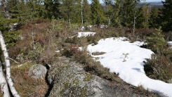 Lara Almarcegui, Mineral Rights, Tveitvangen